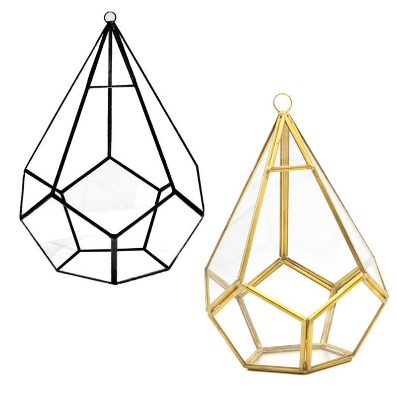 Five-sided Rhombus Geometric Glass Container Desktop Succulent Garden Flower Pot