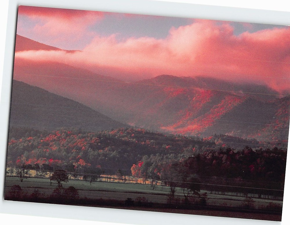 Postcard Hyatt Lane Cades Cove Great Smoky Mountains National Park Tennessee USA
