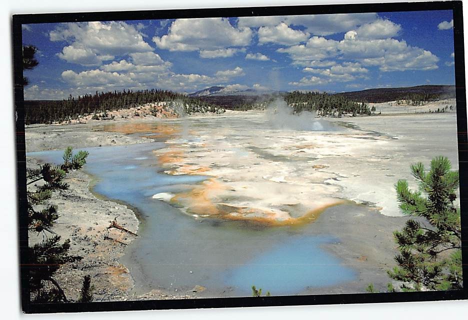 Postcard Norris Geyser Basin Yellowstone National Park Wyoming USA