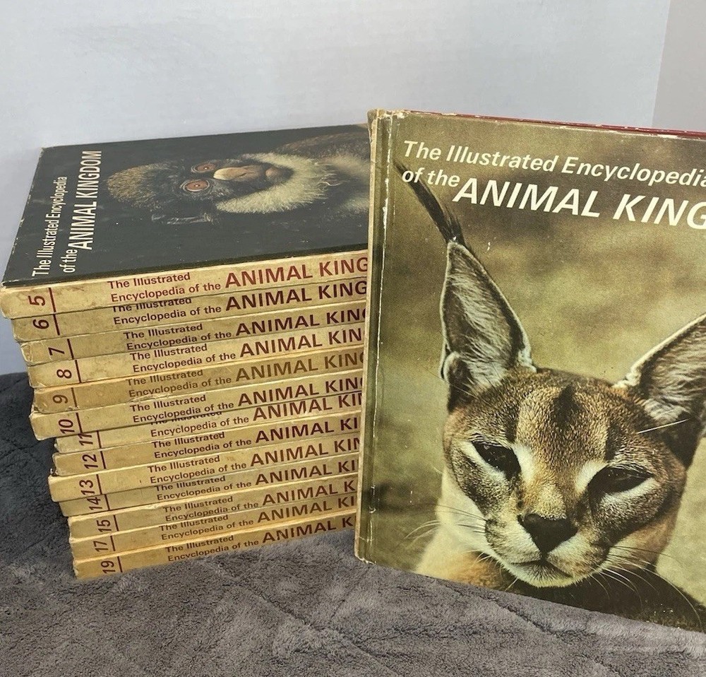 Vintage Lot Of 14 Books The Illustrated Encyclopedia Of The Animal Kingdom