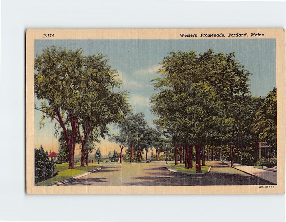 Postcard Western Promenade Portland Maine USA