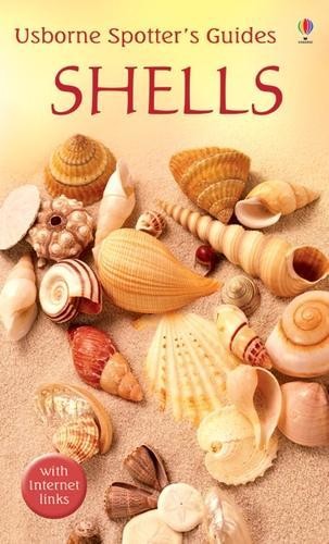 Shells (Usborne Spotter's Guide) by Saunders, Graham Paperback Book The FastFREE US DELIVERY | ISBN: 074607350X | Quality Books