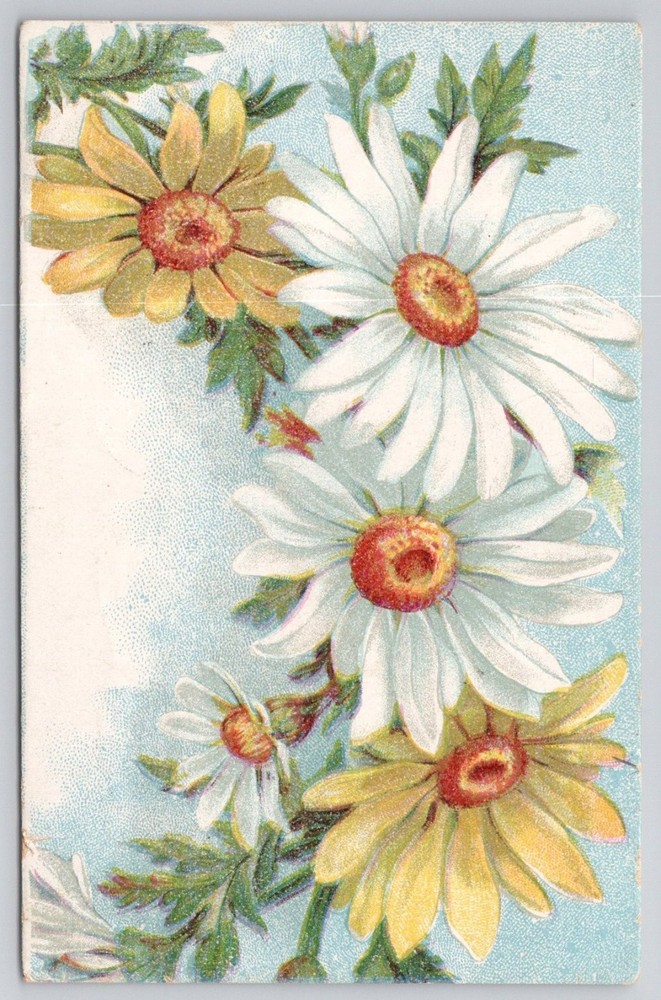 1911 Posted Postcard Daisies Floral Art Newark NJ to Hackettstown