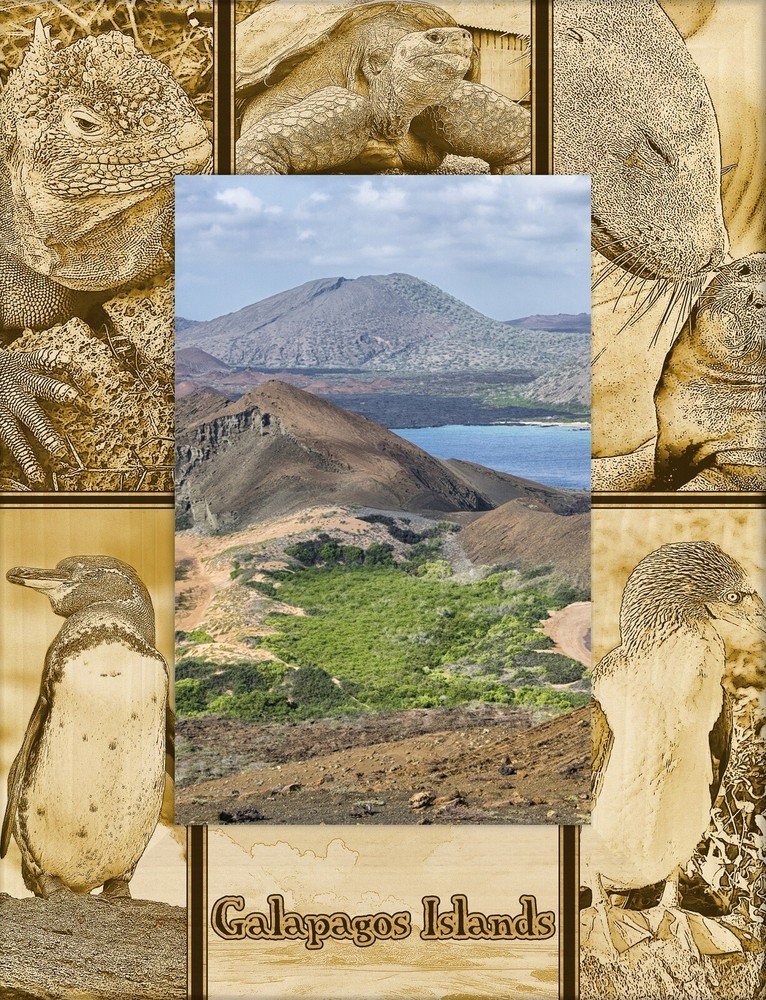 Galapagos Island Laser Engraved Wood Picture Frame Portrait (4 x 6)