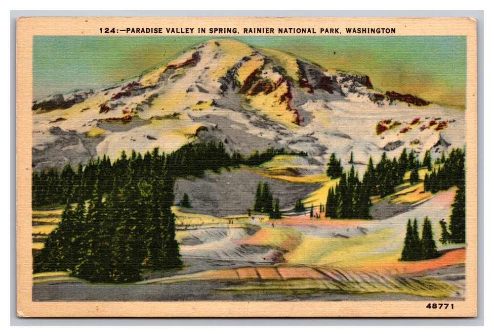 Rainier National Park, WA Washington, Paradise Valley in Spring, Linen Postcard
