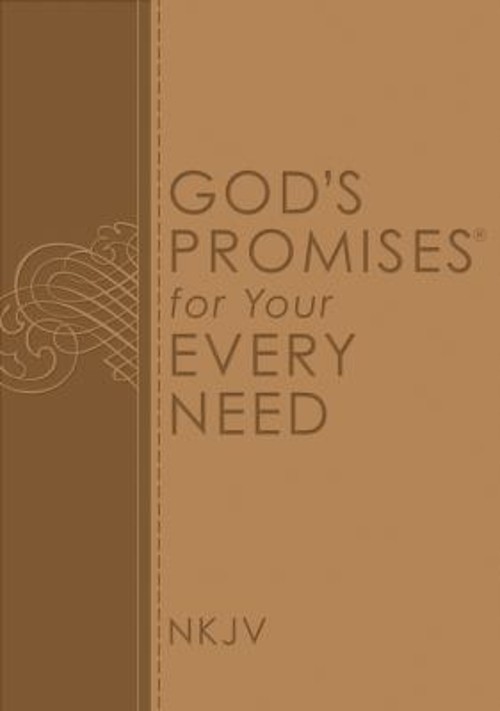 God's Promises for Your Every Need Paperback Jack CountrymanFree US Delivery | ISBN:0529100800