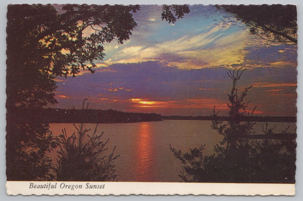State View~Air View Lake @ Sunset~Continental Postcard
