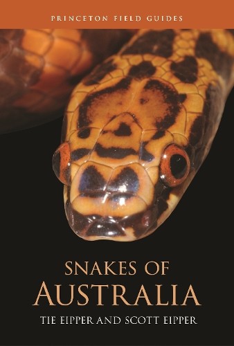Tie Eipper Scott Eipper Snakes of Australia (Hardback) Princeton Field GuidesAnother great item from Rarewaves USA | Free delivery!