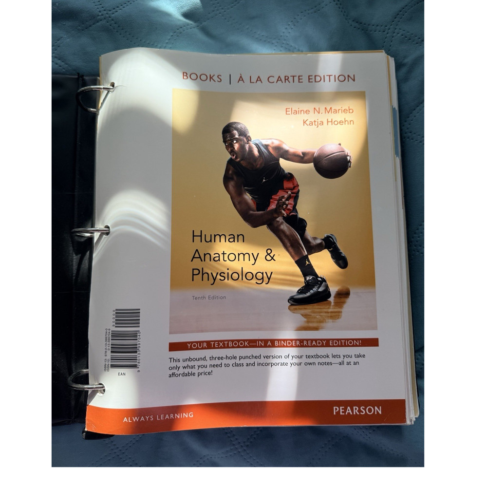 Pearson Human Anatomy & Physiology Tenth Edition Binder-Ready Marieb Hoehn