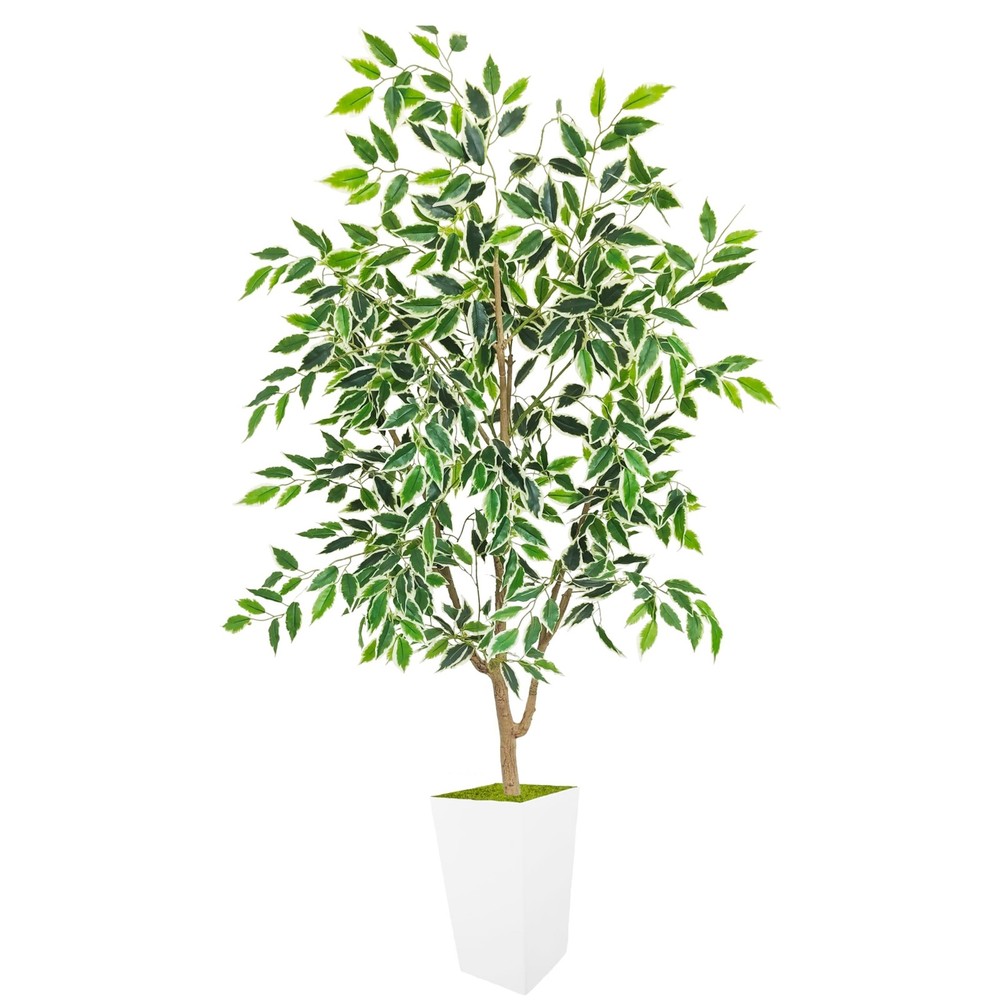 Artificial Ficus Tree 5ft, Faux Plant with White Tall Planter, Fake Ficus Lea...