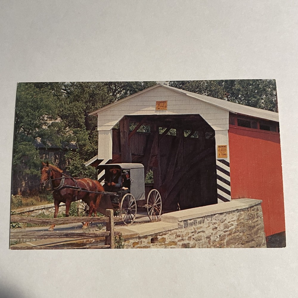 Pennsylvania Greetings From The Penna Dutch Country Amish Man Buggy Postcard
