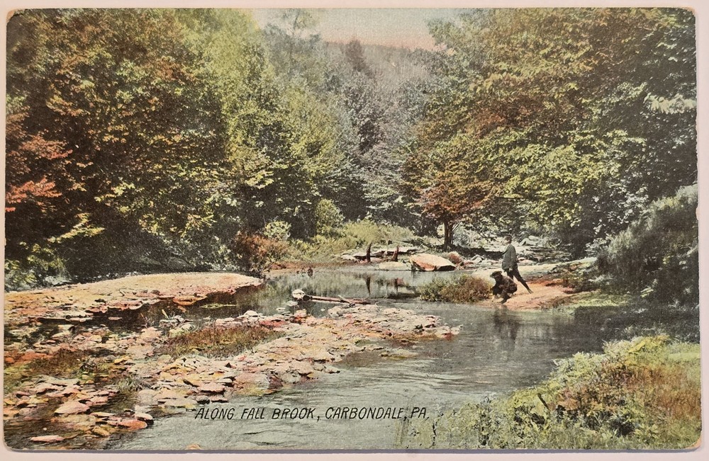 Carbondale Pennsylvania PA Along Fall Brook Vintage Postcard 1909 Rotograph Co