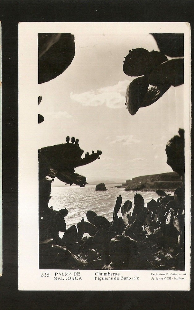 Vtg RPPC Spain Photo Postcard  Palma de Mallorca, Chumberas Figurers de Barbarie