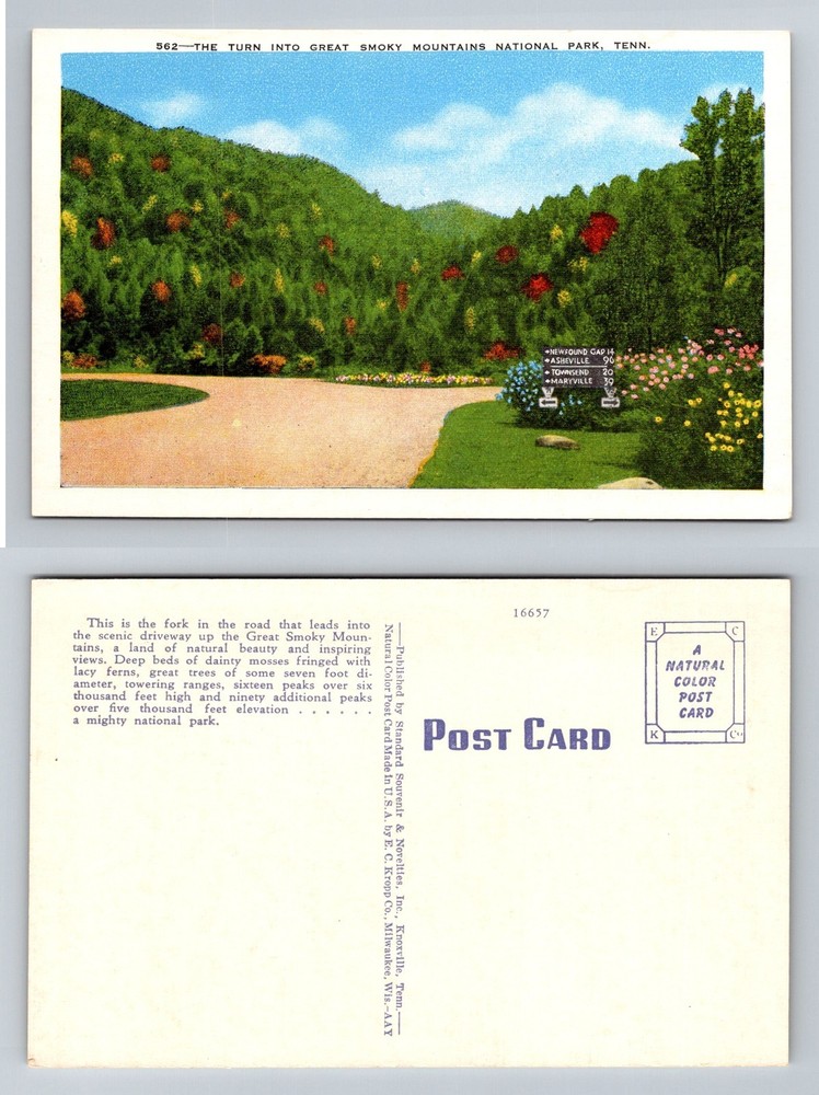 Great Smoky Mountains TN-Tennessee, Park Entrance Scenic View Vintage Postcard