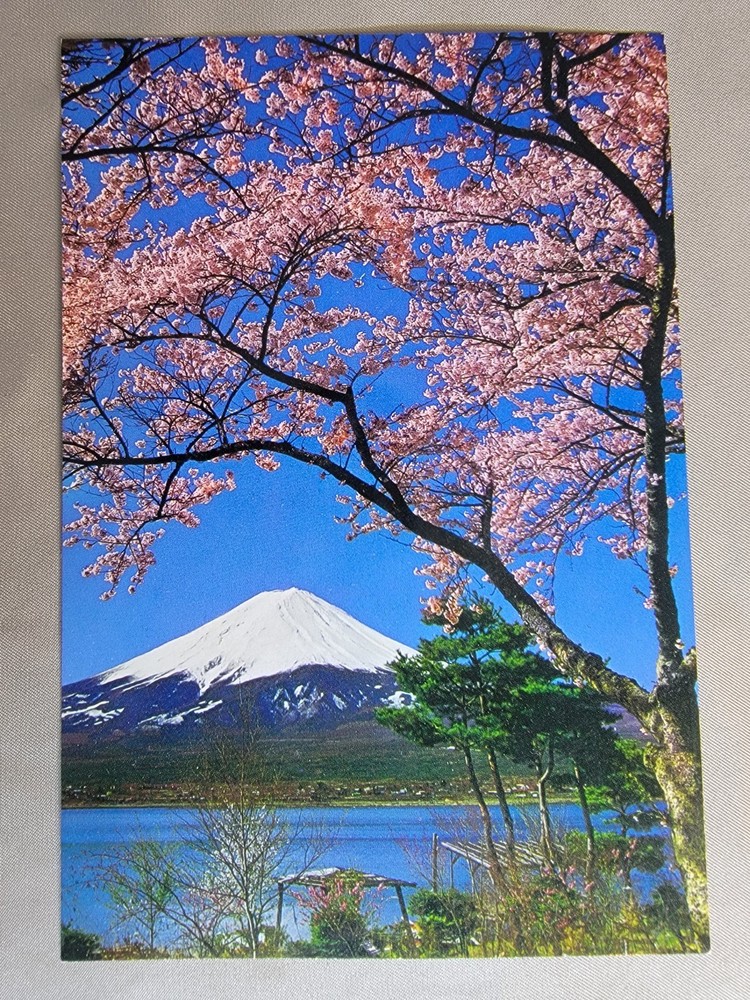 Vintage Mt Fuji Japan Postcard Cherry Blossoms Sakura Lake Kawaguchi Travel View