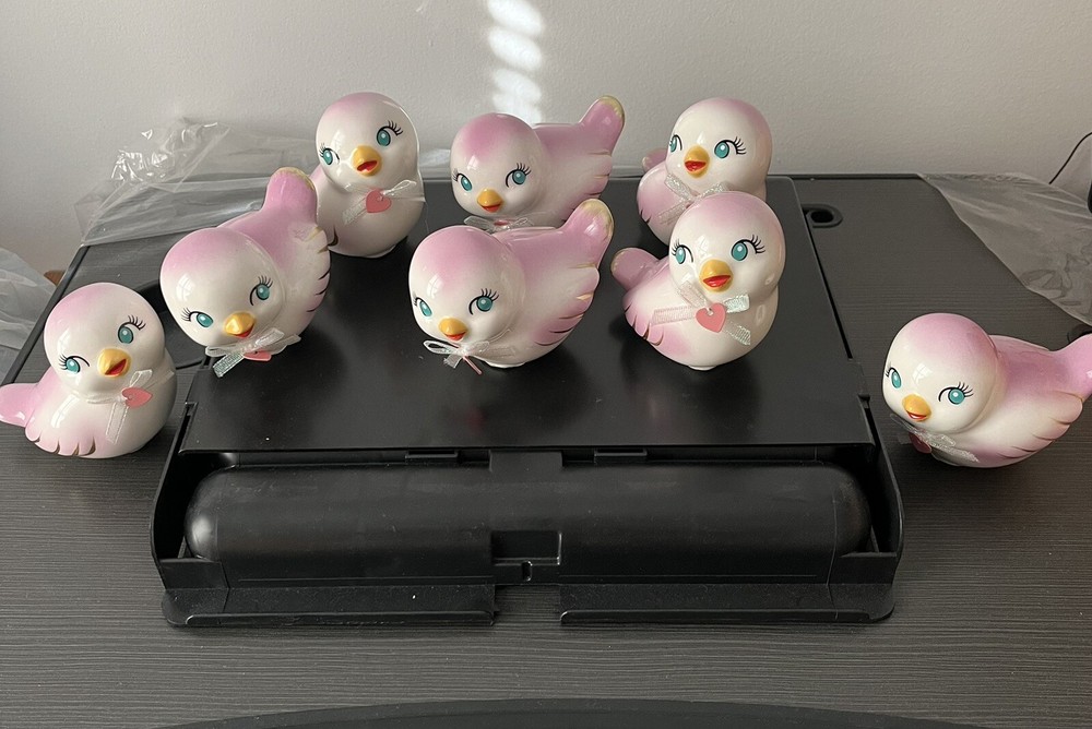 New 2025~Pair of Ceramic Valentine's Day Retro LOVE BIRDS Target Spritz Set Of 8