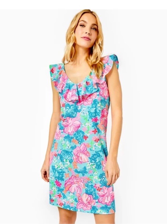 Lilly Pulitzer ALESSA Swing Womens L Dress Surf Blue Luscious Lions Pima Cotton
