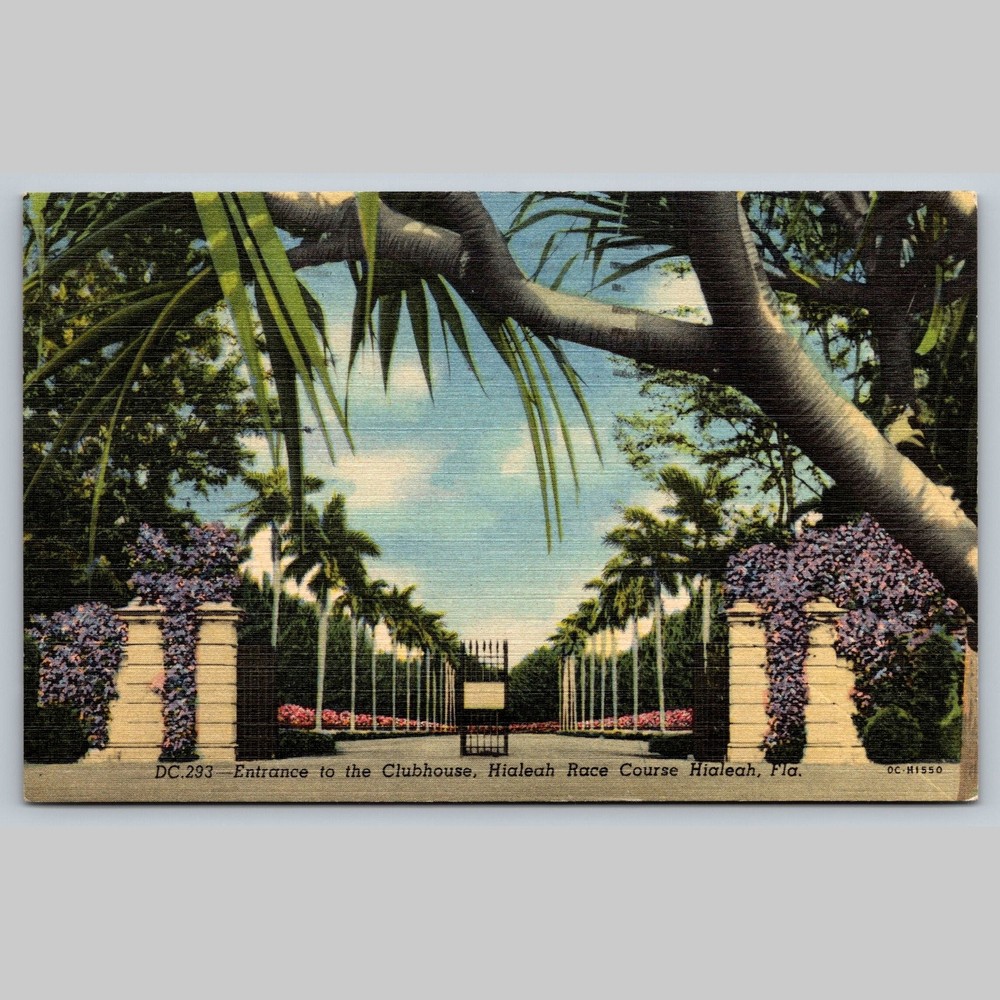 Postcard Entrance to Clubhouse Hialeah Race Course Florida
