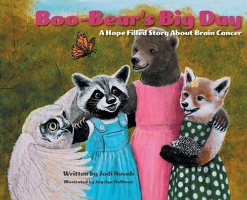 Boo-Bear's Big Day: A Hope Filled Story about Brain Cancer by Jodi Novak: New