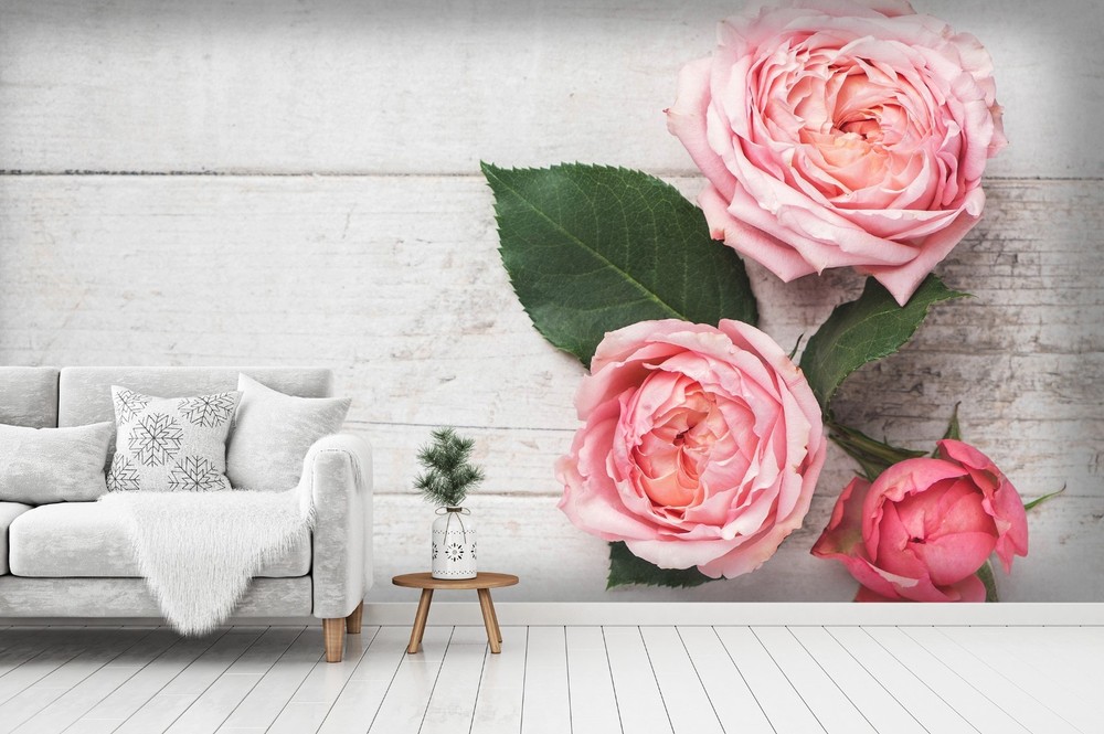 3D Pink Rose Plant Close-up Wall Murals Wallpaper Murals Wall Sticker