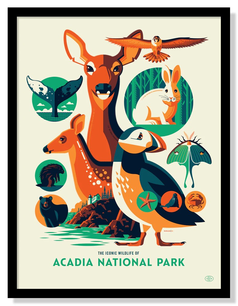 Acadia National Park Wildlife Animals Vintage Style Photo Print Reprint-image