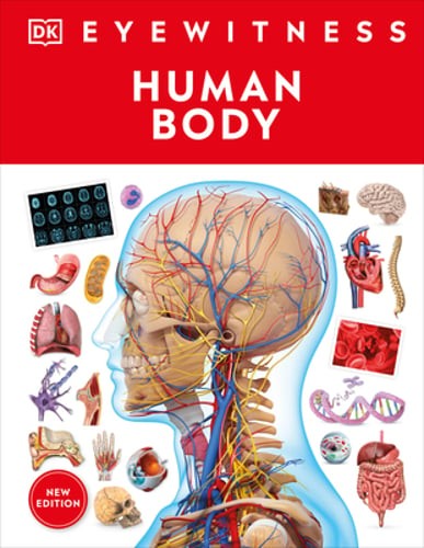 Eyewitness Human Body by DK: New