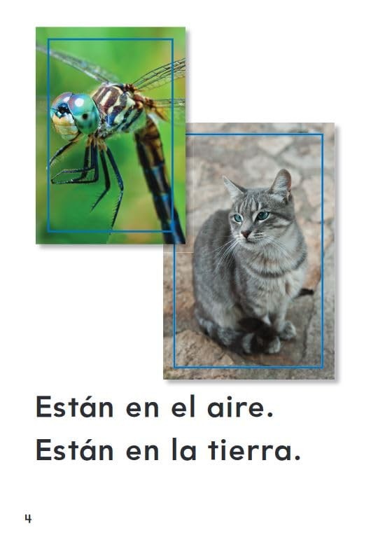 Ojos de Animales (Time for Kids(r) ..., Herweck Rice, D