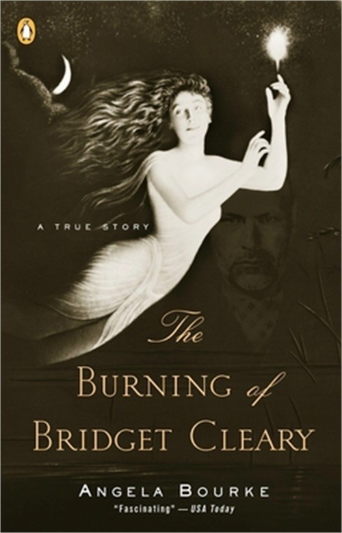 The Burning of Bridget Cleary: A True Story (Paperback or Softback)
