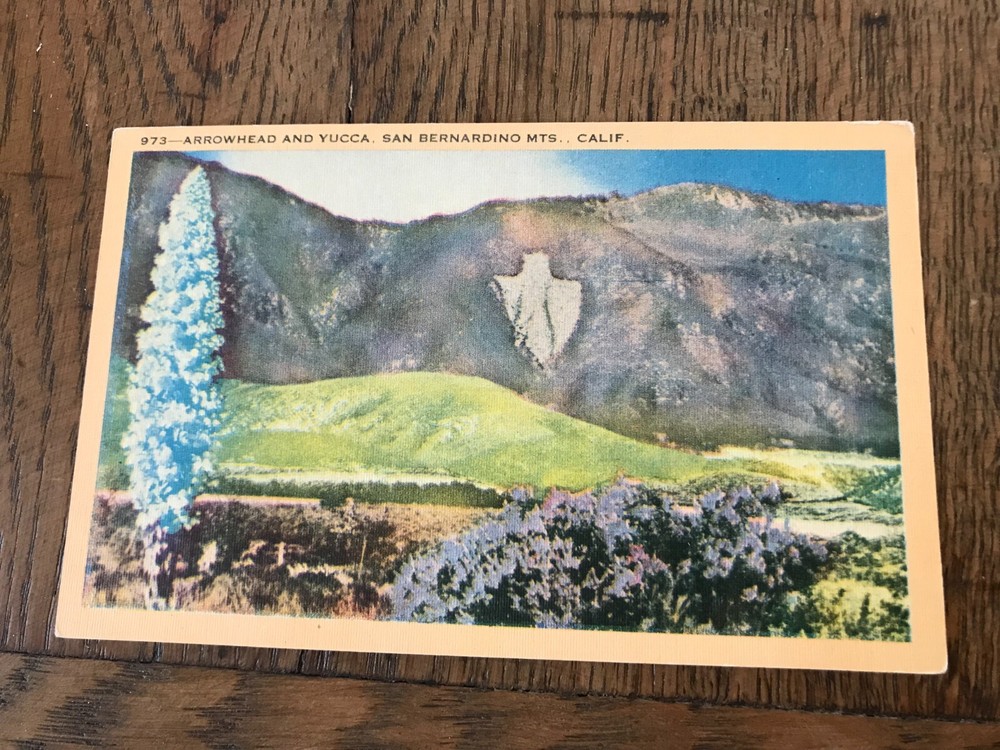 Arrowhead and Yucca San Bernardino Mountains California Postcard