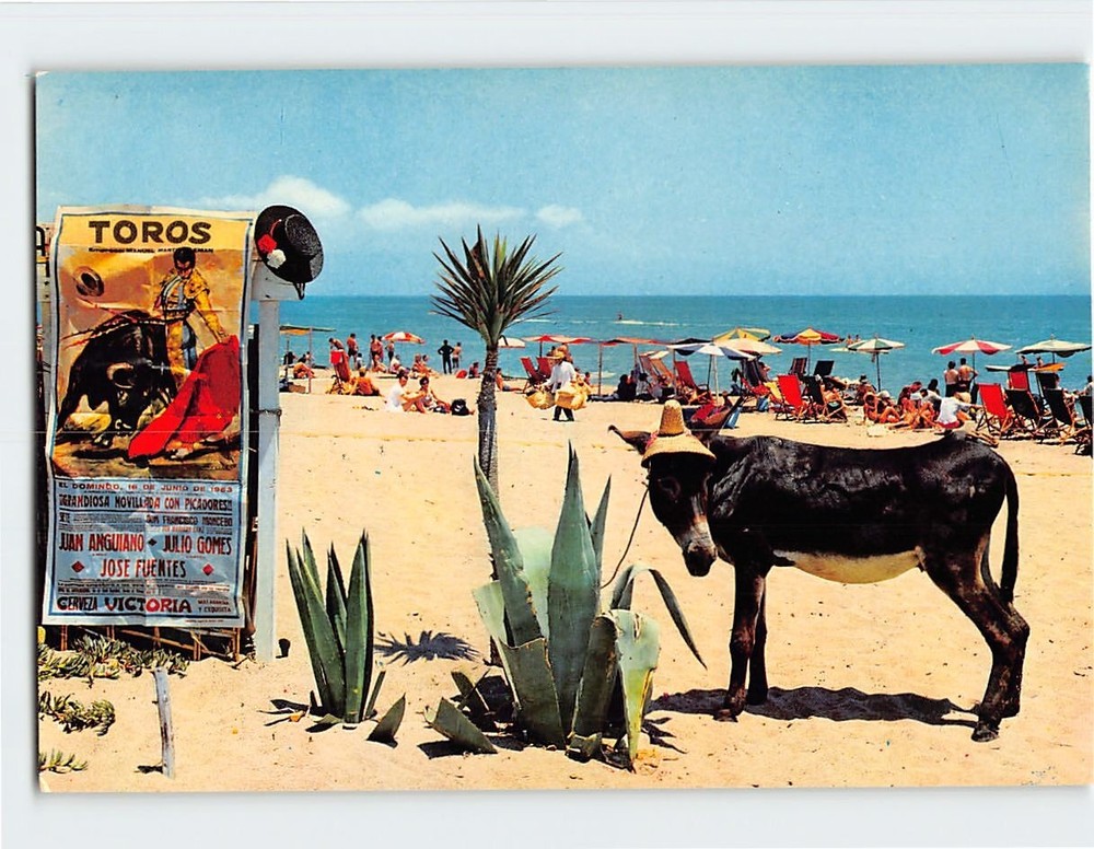 Postcard TTypical Scene On The Beach Spain