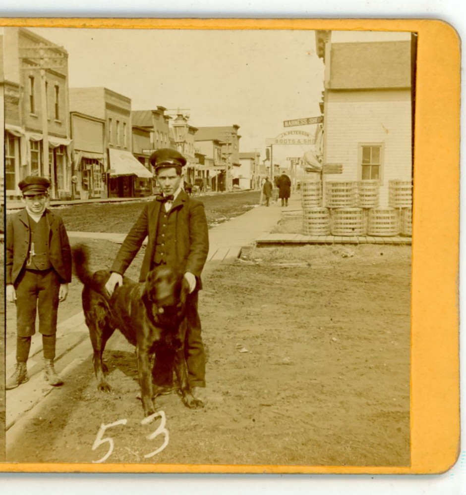 Martin Peterson & his dog 'Prince' Main St. Spring Valley WI Stereoview 1904