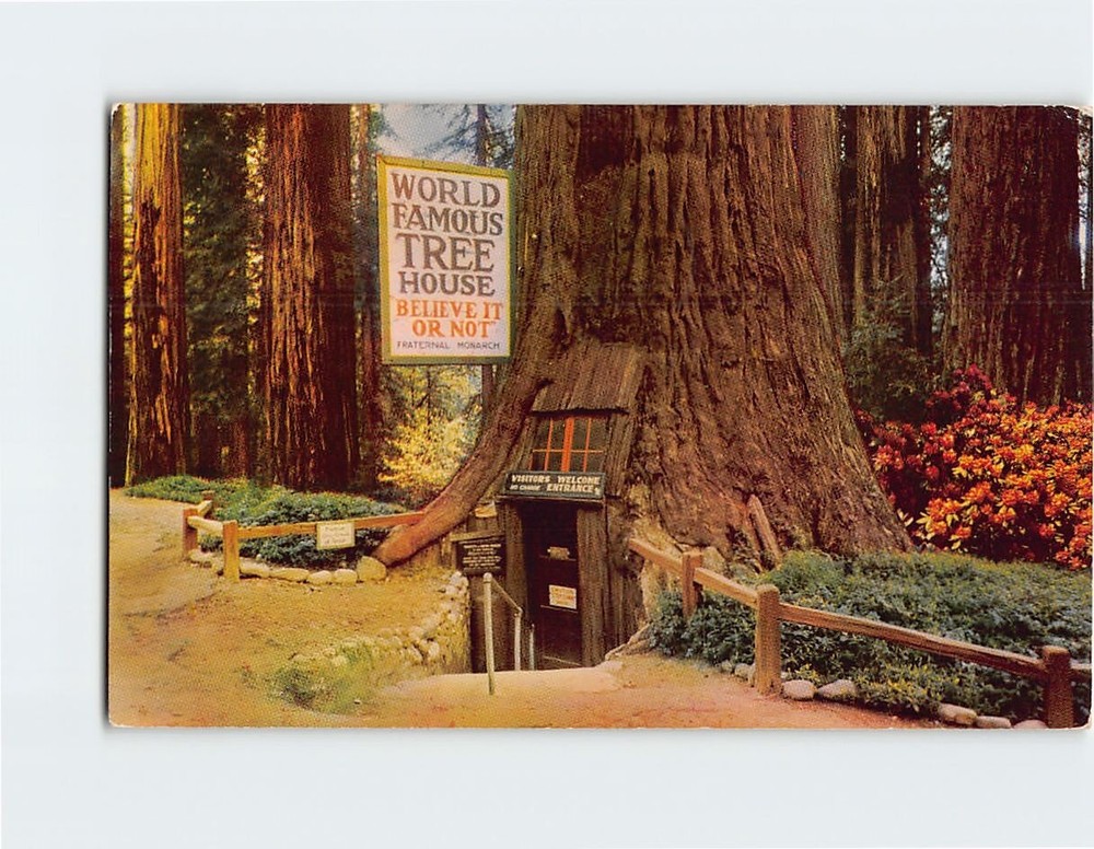 Postcard World Famous Tree House, Tree House Park, Piercy, California