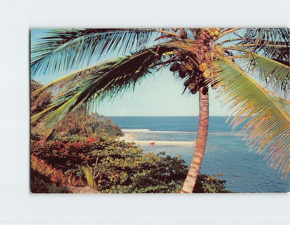 Postcard The Sunny Caribbean