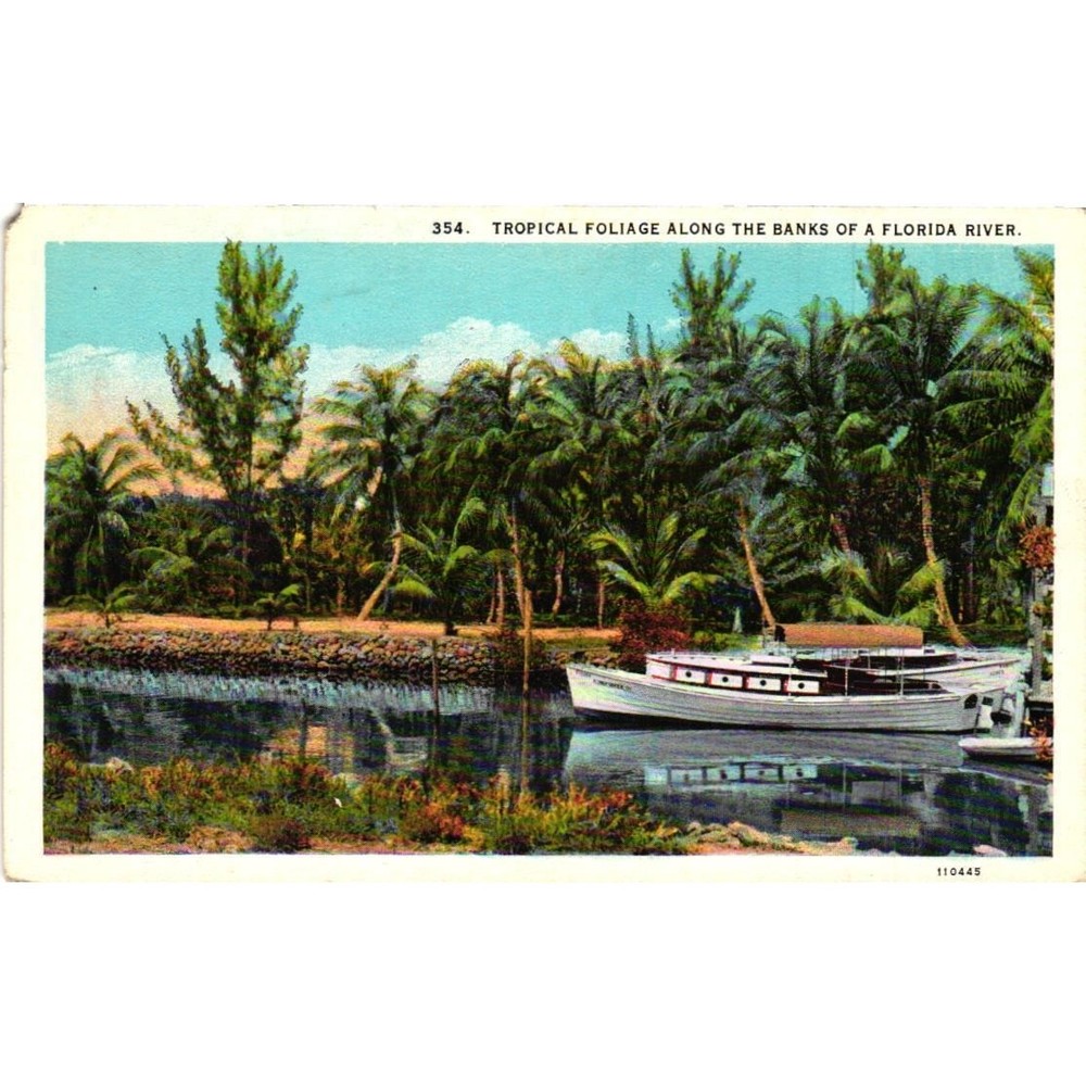 Vintage Florida River Tropical Foliage Linen Postcard 354 Asheville Post Card Co