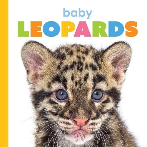 Meg Greve Baby Leopards (Paperback)Another great item from Rarewaves USA | Free delivery!