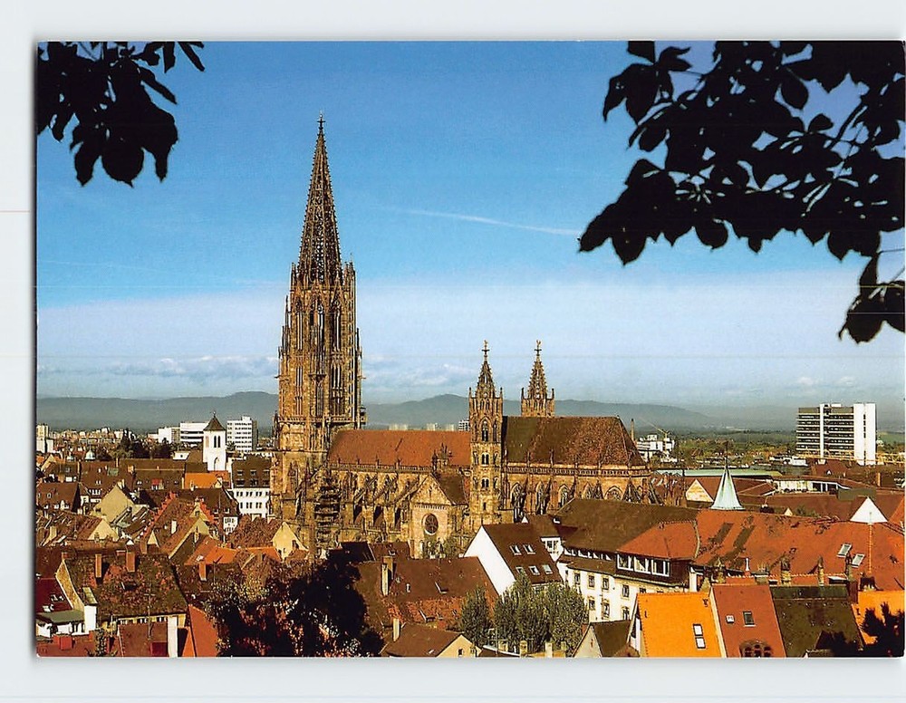 Postcard Freiburg Minster Freiburg im Breisgau Germany