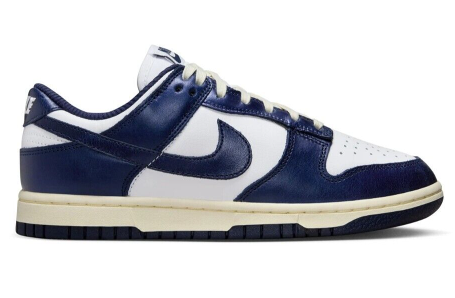 Nike Dunk Low Premium Leather Basketball Sneaker Shoes FN7197-100 US W 9 / M 7.5