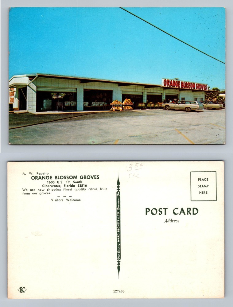 Clearwater, FL-Florida Orange Blossom Groves Citrus Market View Vintage Postcard