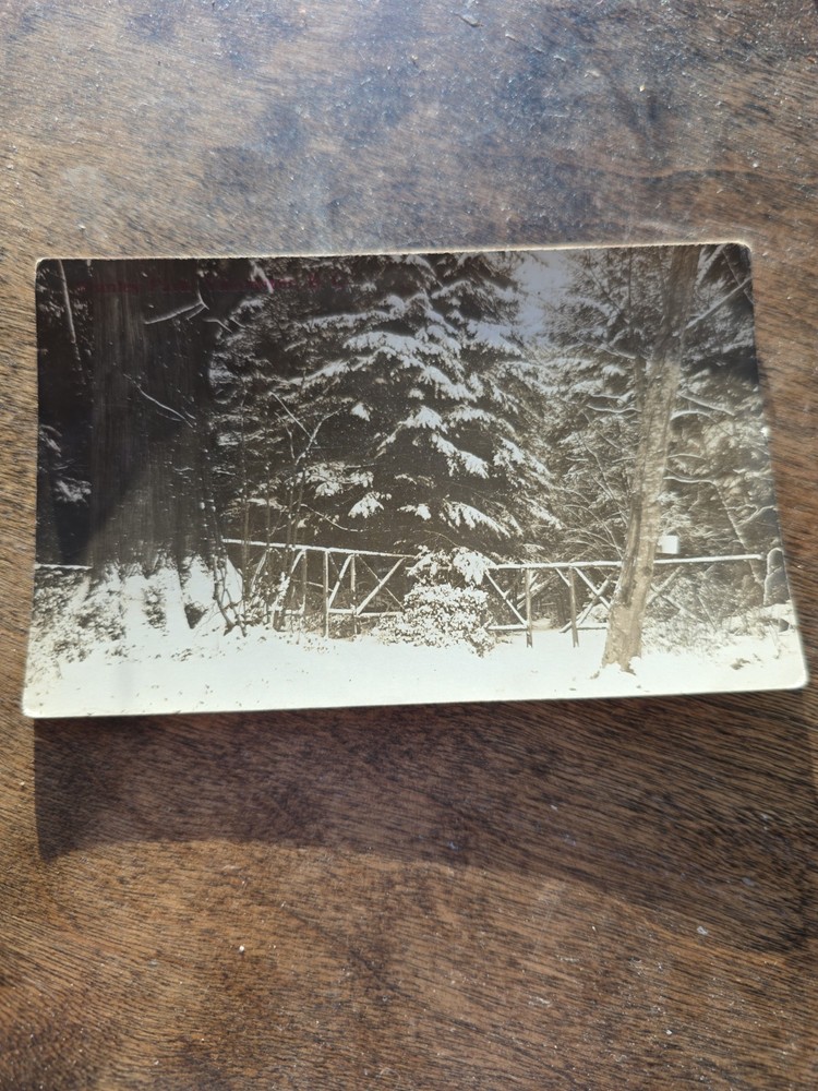 Antique Postcard British Columbia Canada