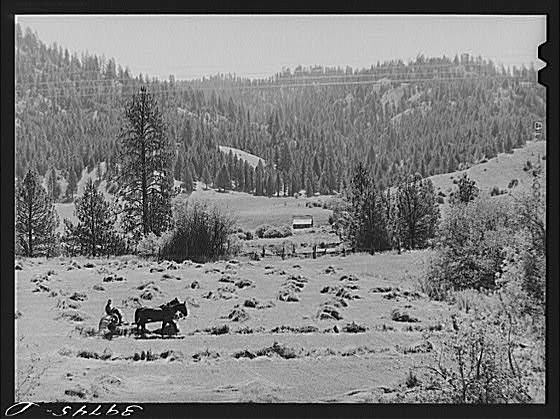 Farm Land,Garden Valley,Boise County,Idaho,ID,Farm Security historic photo