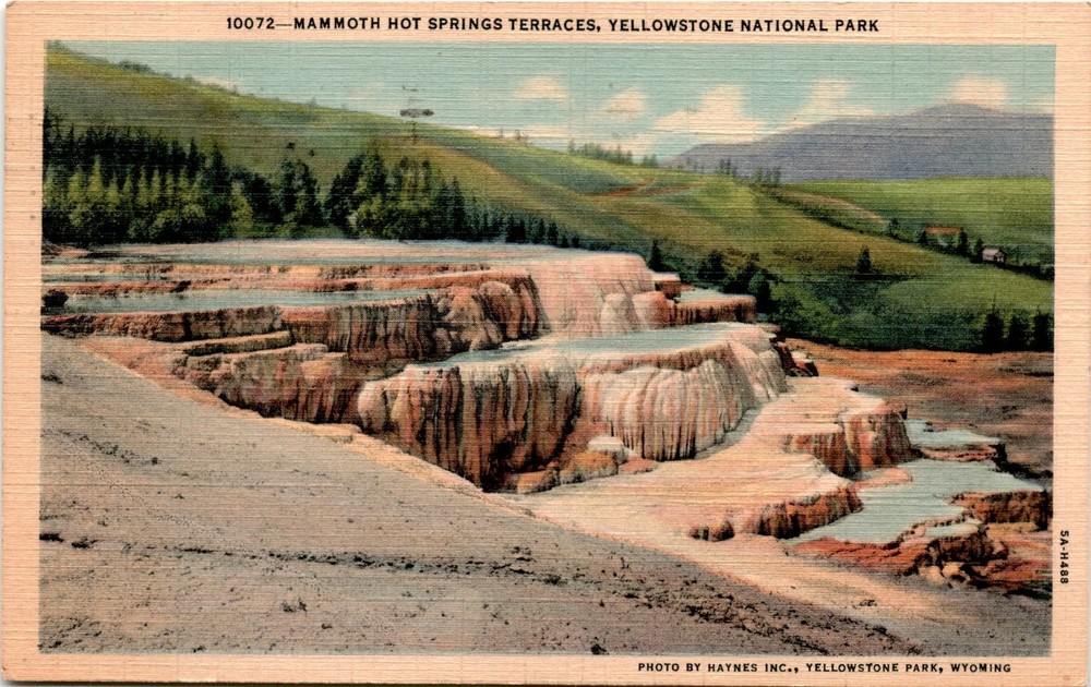 Mammoth Hot Springs Terraces, Yellowstone National Park, Haynes Inc., Postcard