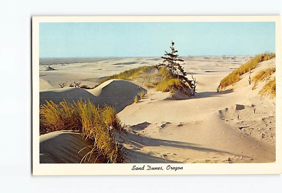 Postcard Sand Dunes Oregon USA