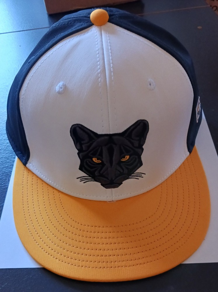 Wayne State Wildcats NCAA Division II Team Issued Baseball Cap Size 7 1/2