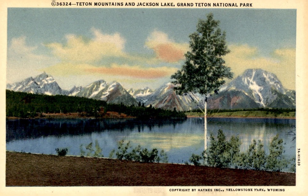 Teton Mountains and Jackson Lake, Grand Teton National Park Postcard