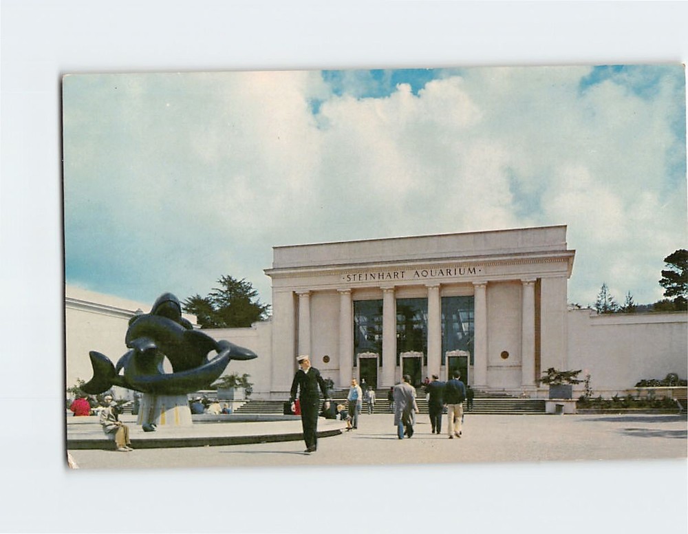 Postcard Steinhart Aquarium California Academy of Sciences San Francsico CA USA-image