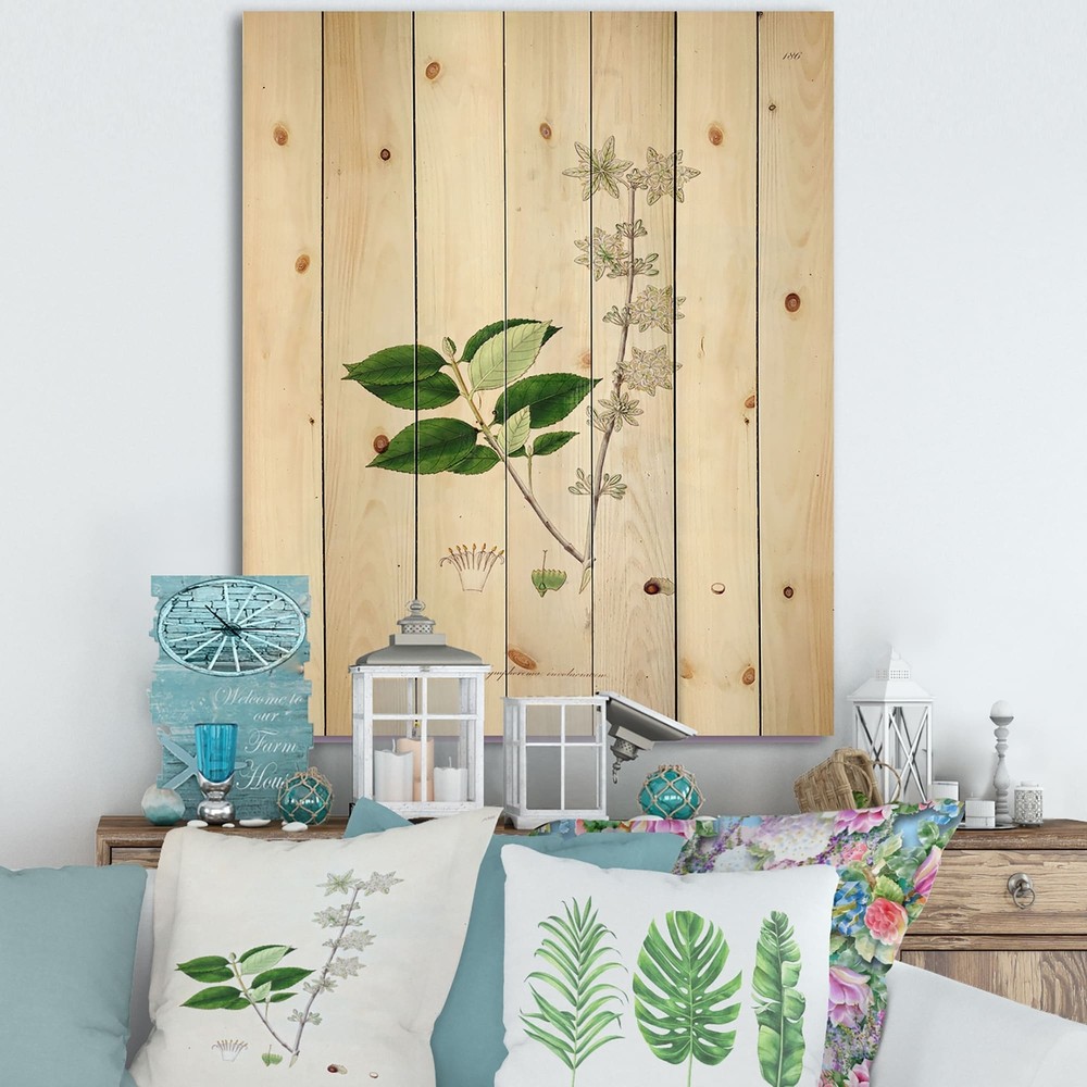 Designart 'Vintage Botanicals XV' Farmhouse Print on Natural