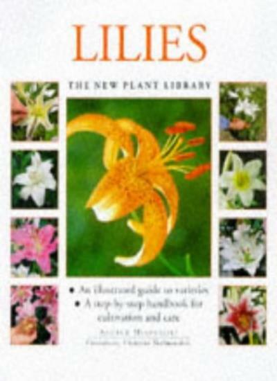 Lilies (New Plant Library) By Andrew Mikolajski