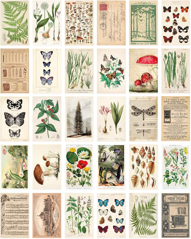 Vintage Collection Postcard Set: Pack of 30 Retro Style Botanical, Nature and Ep