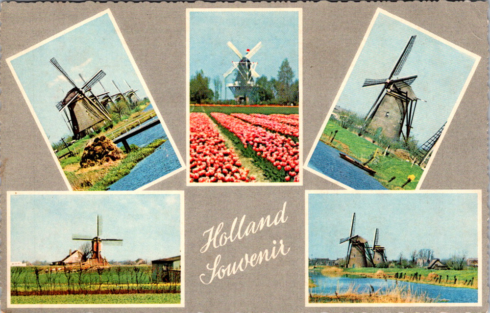 Vintage Postcard Holland Windmills Tulips Souvenir