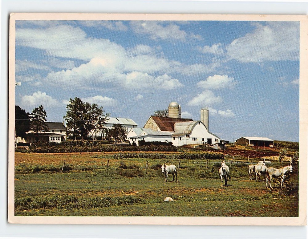 Postcard A picturesque Amish Farm Amish Country Pennsylvania USA